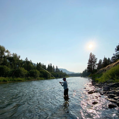 The Late Summer Slowdown