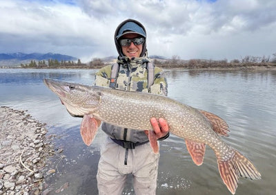 Early Season Pike